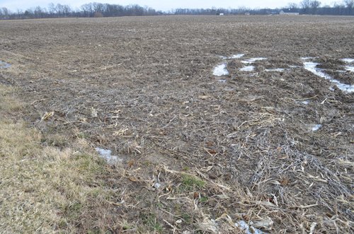 Property photo 11 - East Allen County Land Auction - 40 Acres in 2 Tracts